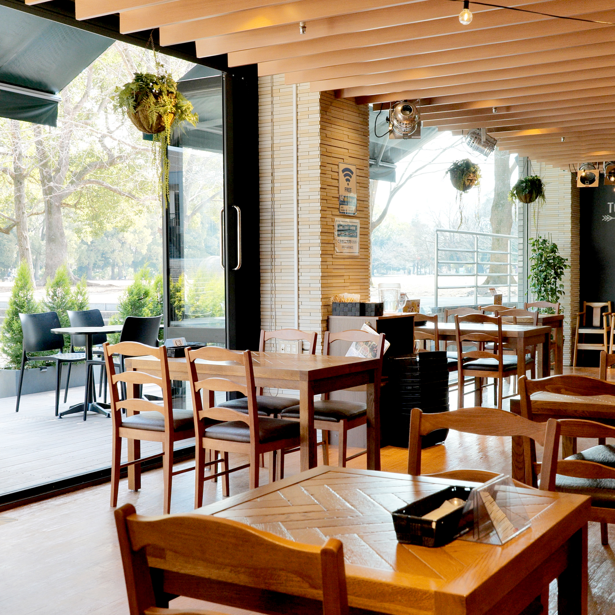 ミューズ　レストラン　ロッコ　店内の風景